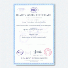 桃花江竹材-ISO9001英文版證書