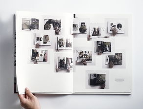 國外“僅供瀏覽”書籍的裝幀設計 從功能到藝術的探索